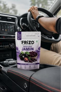 Road Trip Buddy